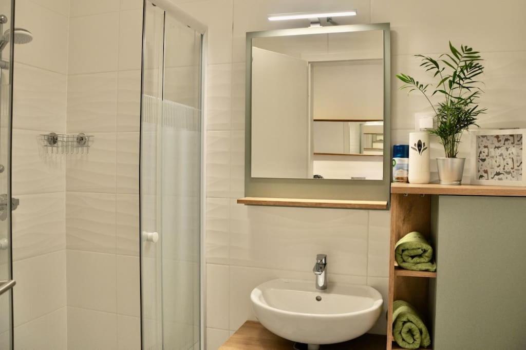 New Studio Apartment In Central Budapest - Free Parking Eksteriør billede
