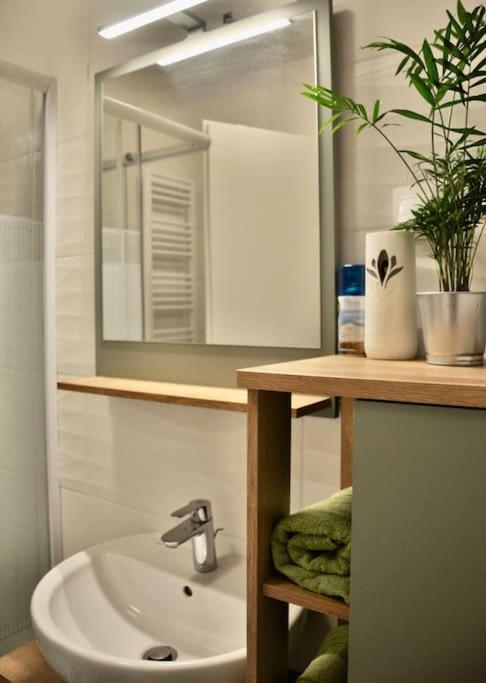 New Studio Apartment In Central Budapest - Free Parking Eksteriør billede